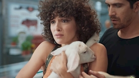 פרסומת השבוע - טרי טרי, צילום: DIBOOR